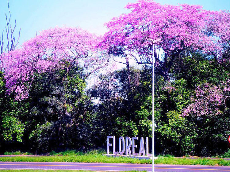 Floreal São Paulo fonte: www.newscom.inf.br